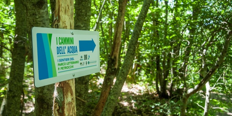 I cammini dell'acqua