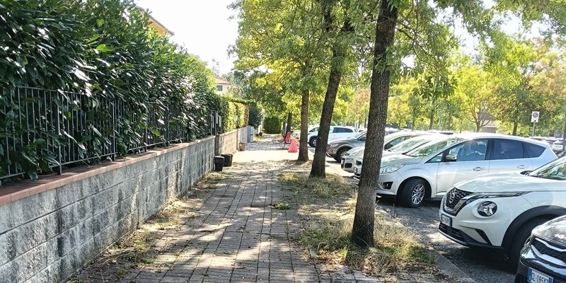 Alcune immagini a corredo della lettera