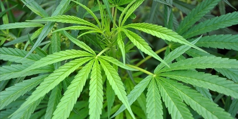 Scandicci: uomo fermato dai Carabinieri con un chilo di hashish