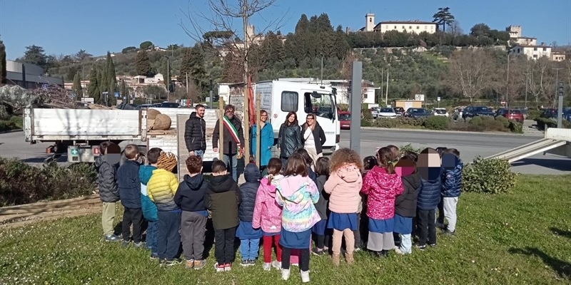 La piantumazione di alberi