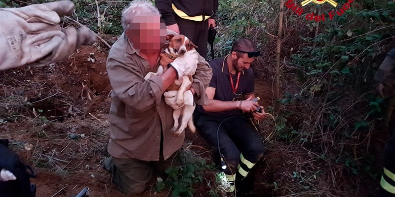 Il cane salvato dai Vigili del Fuoco abbracciato dal padrone