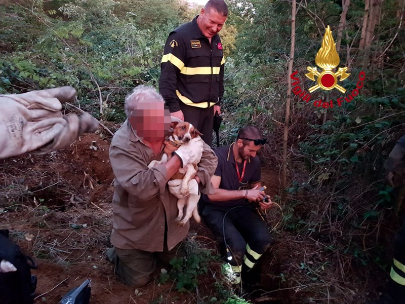 Salvataggio del cane