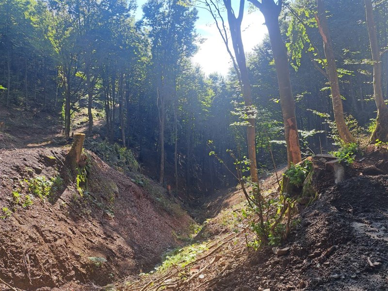 devastazione ambientale