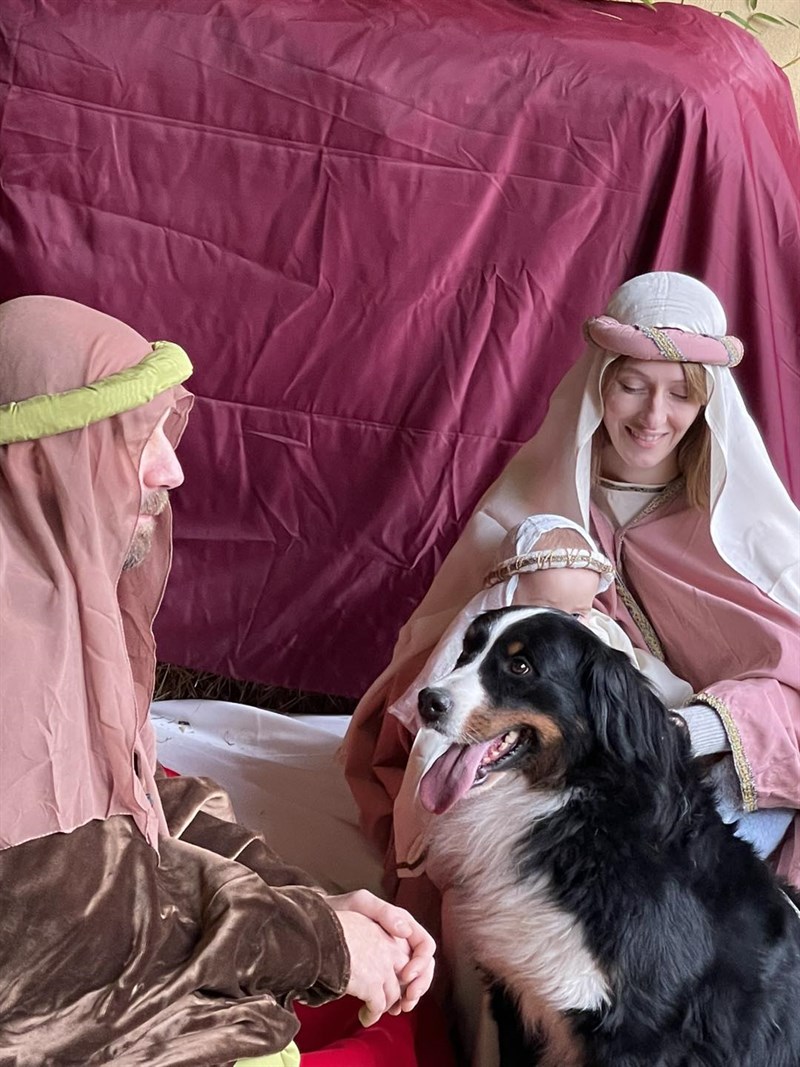 Le foto della giornata