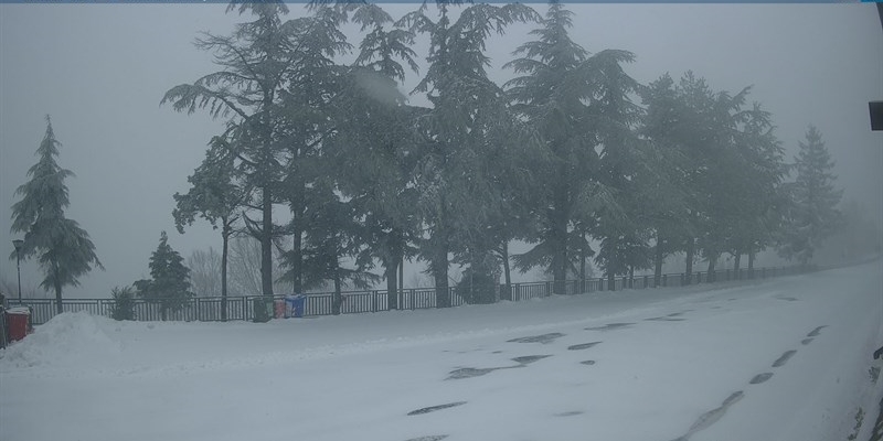 Passo del Muraglione