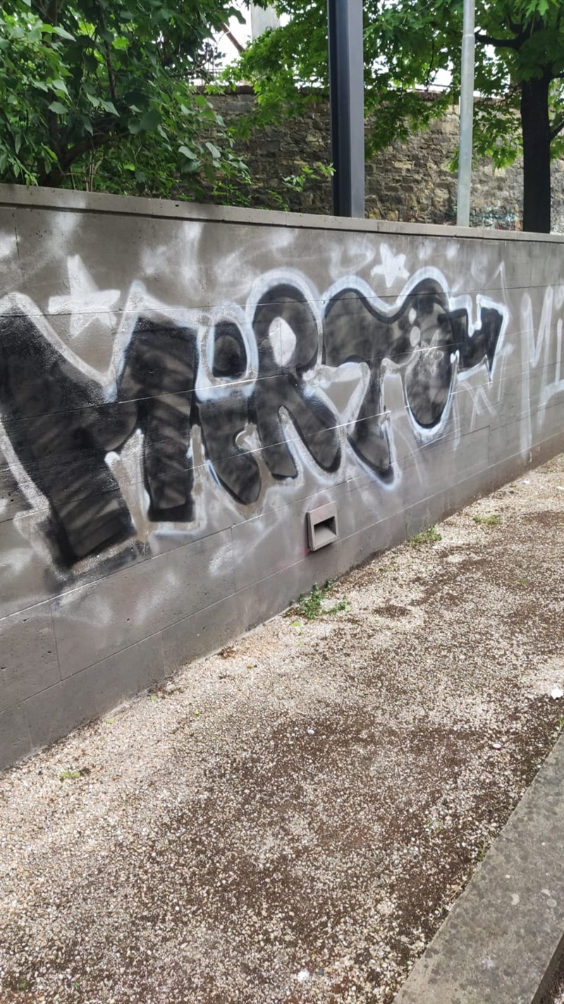 La vandalizzazione
