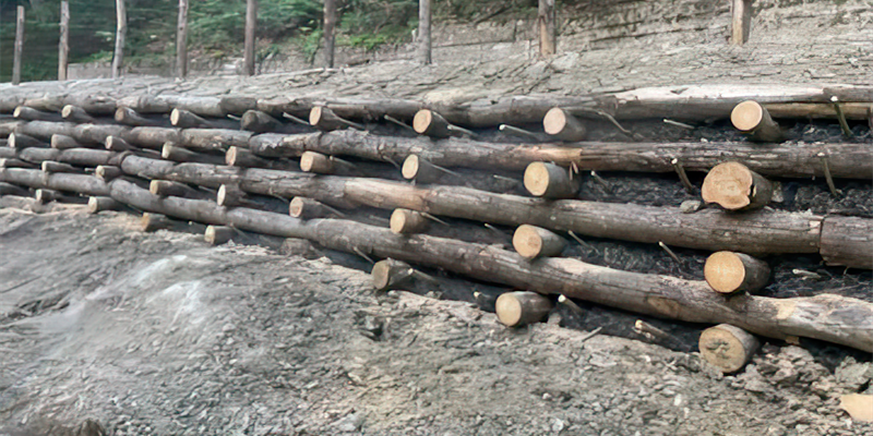 Un dettaglio dei lavori effettuati