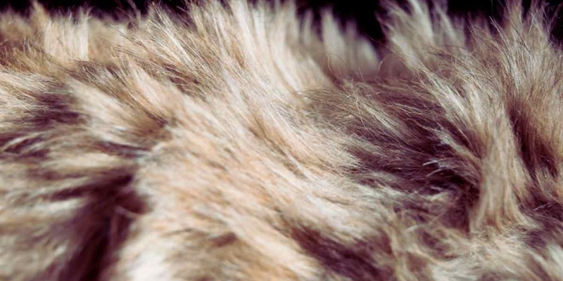 Peli di animali in casa? Il trucco della nonna che li fa sparire-okmugello.it