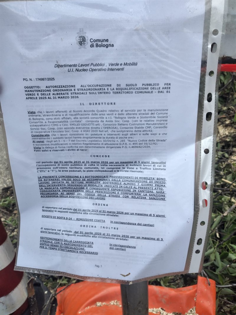 La scoperta sensazionale