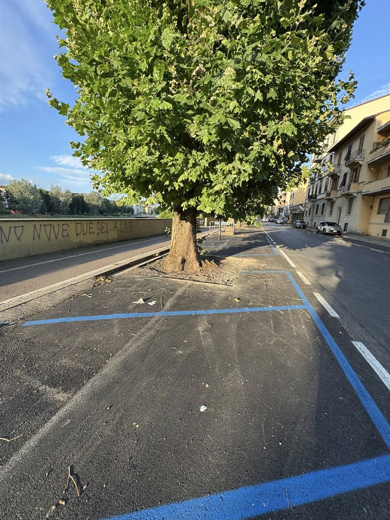 Ora anche le strisce blu