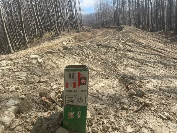 Il crinale devastato