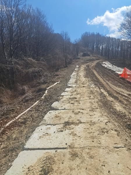 Il crinale devastato