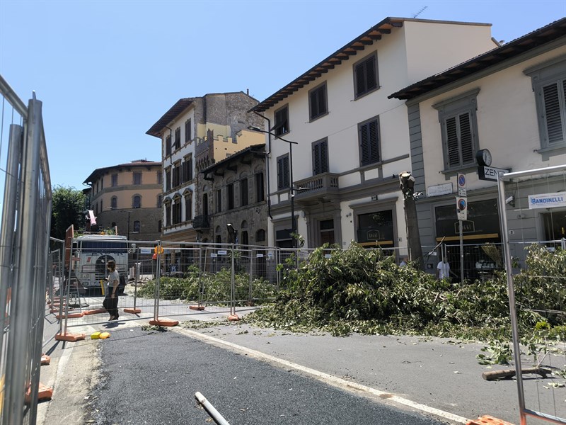 La desertificazione compiuta in viale Giannotti