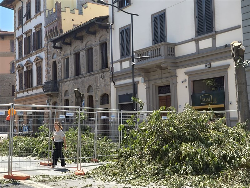 La desertificazione compiuta in viale Giannotti