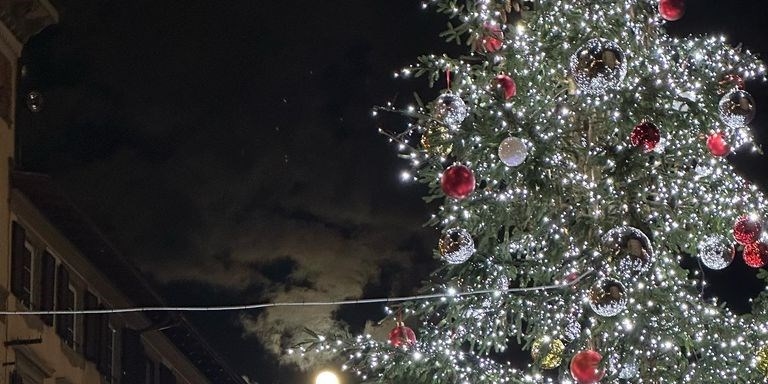 l'albero di Natale in piazza Duomo