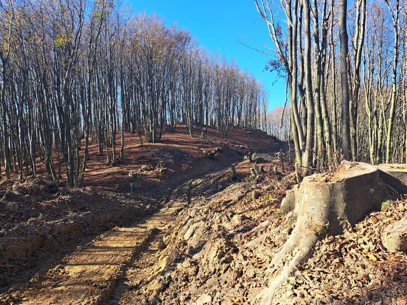 i lavori devastanti i crinali