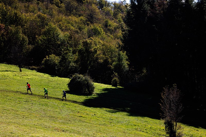Trail del cinghiale