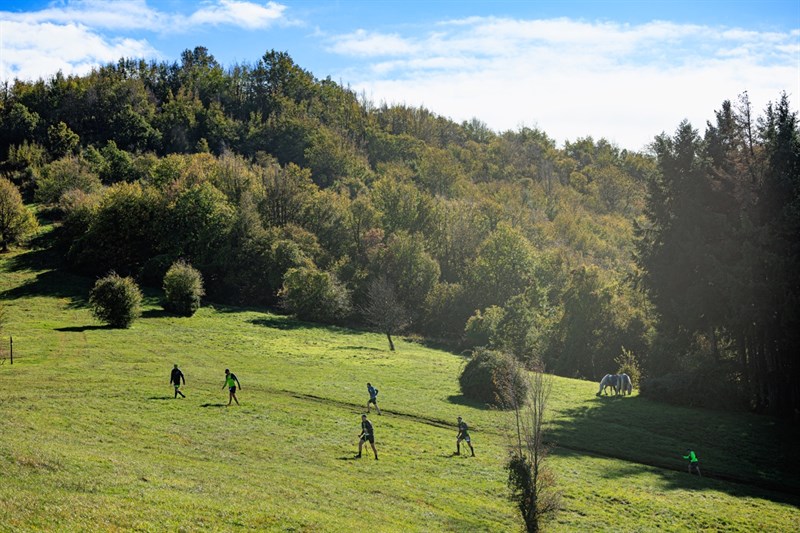 Trail del cinghiale