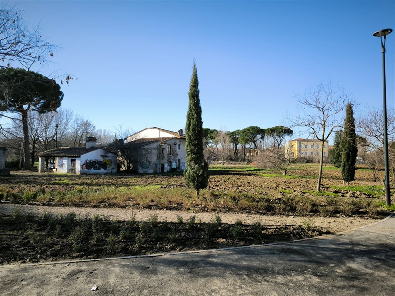 Il nuovo giardino del Mezzetta
