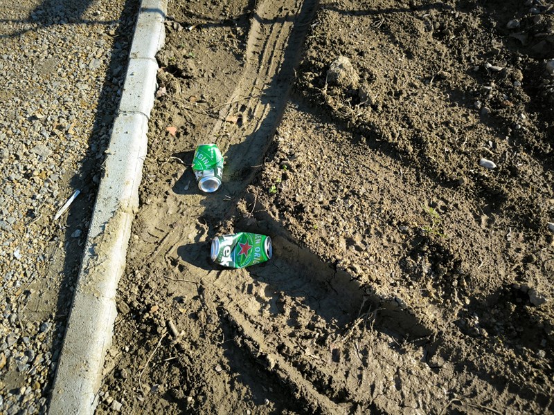Sporcizia abbandonata fra le nuove pianticelle
