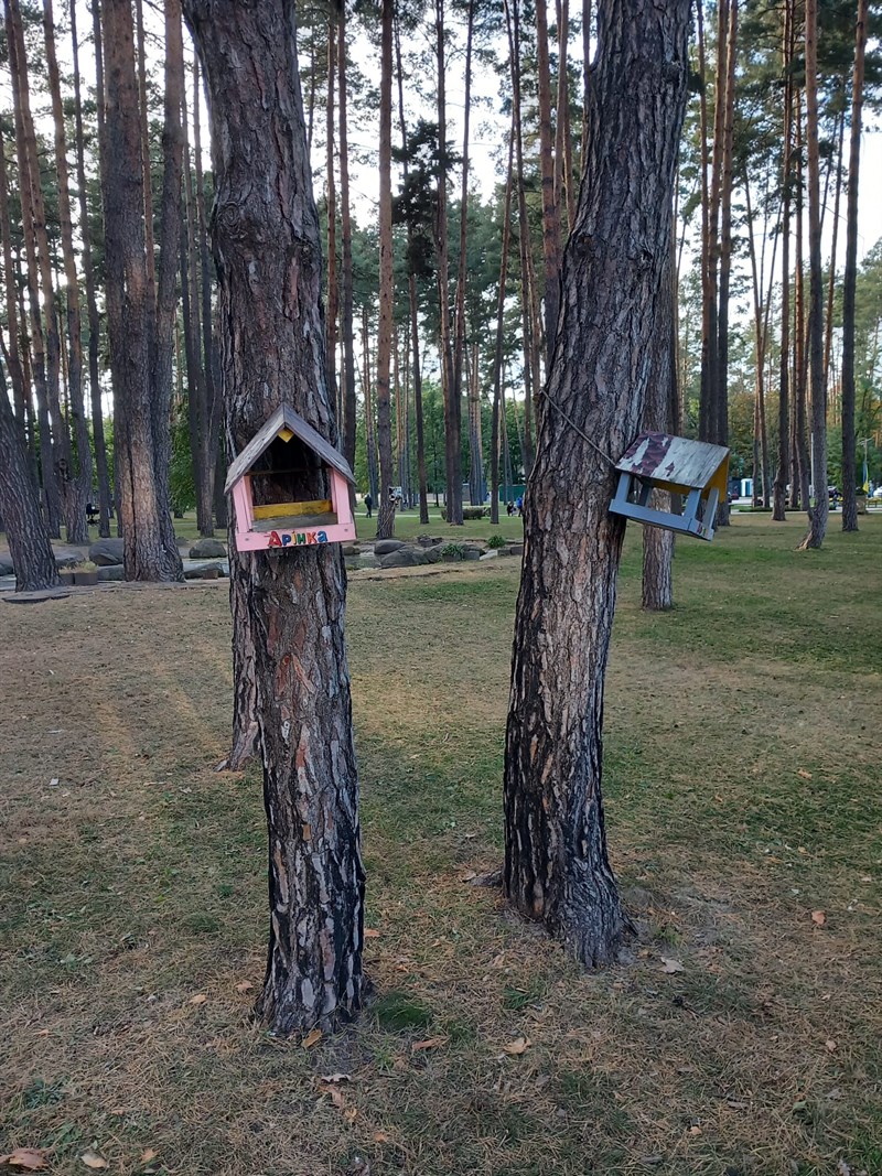 La vita si rigenera sotto le ceneri anche in questi luoghi dove sono state compiute le atrocità delle uccisioni, delle violenze sui civili.