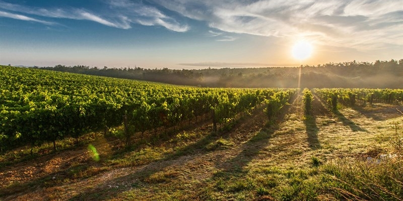 Itinerari invernali in Mugello: una Toscana diversa