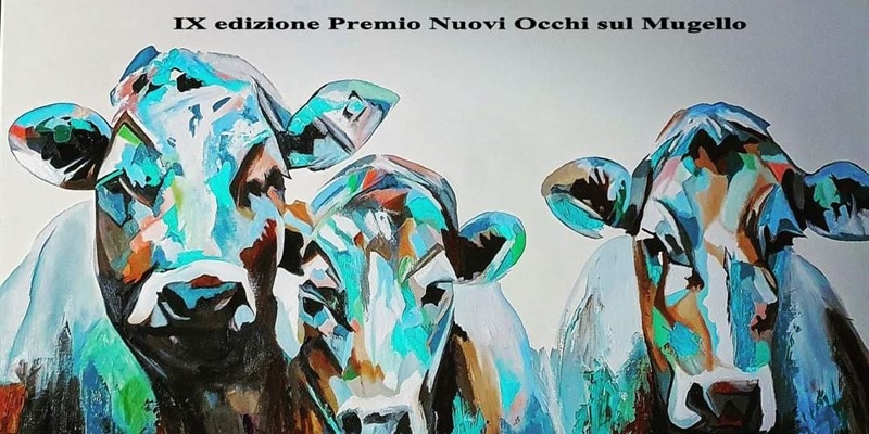 Nuovi occhi sul Mugello