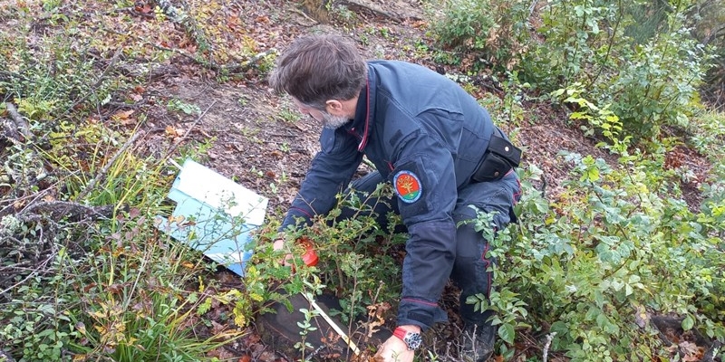 Carabinieri Forestali