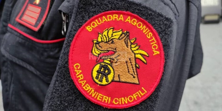 I carabinieri cinofili di Firenze incantano Sanremo.