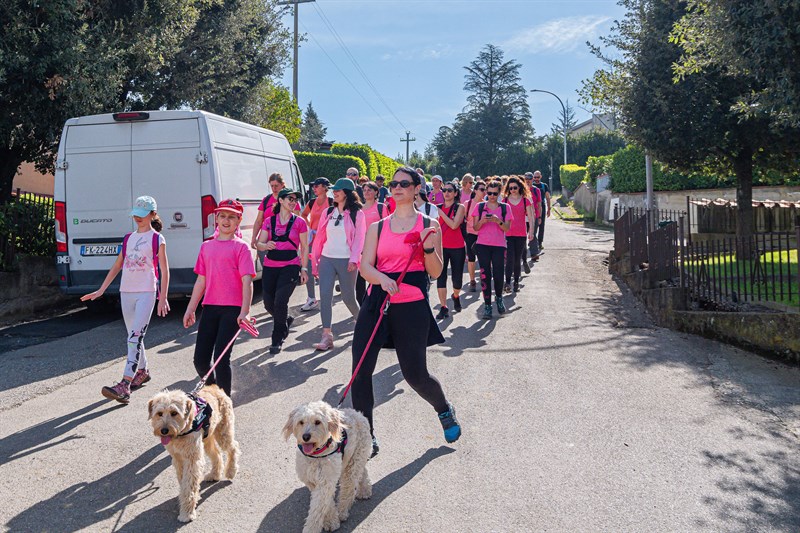 Nipozzano in Rosa, grande successo della raccolta fondi in Valdisieve, un trekking per la Lotta contro il cancro di I sentieri di Arianna