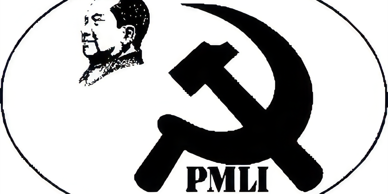 PMLI Valdisieve - Logo
