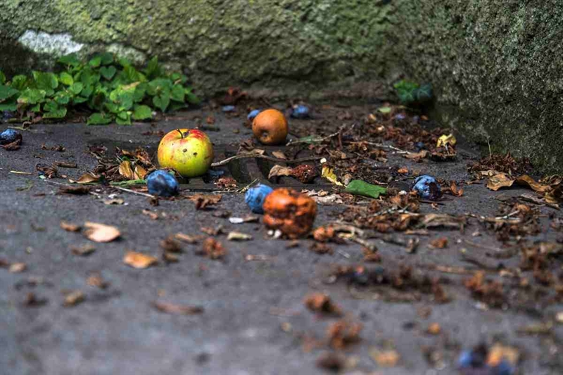 Risponde un professore (www.okmugello.it)