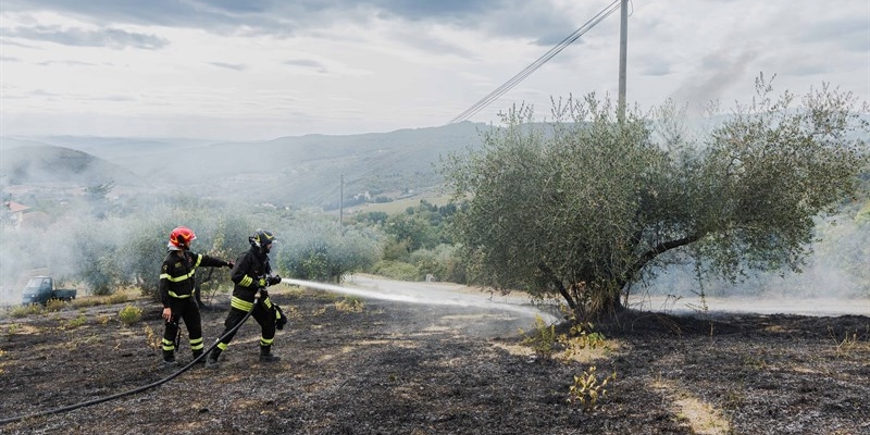 Tremila metri quadri a fuoco: fiamme vicino alle case, attimi di paura a Galiga 