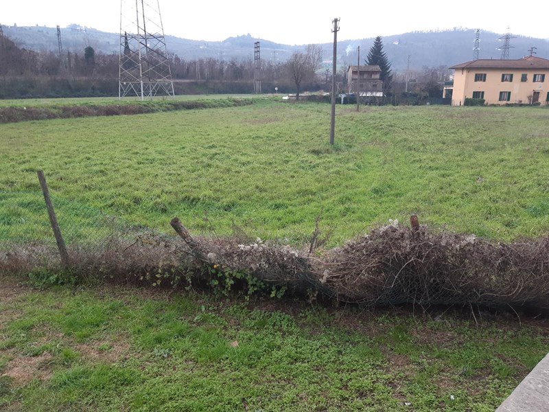 Situazione area cani San Francesco a Gennaio 2023