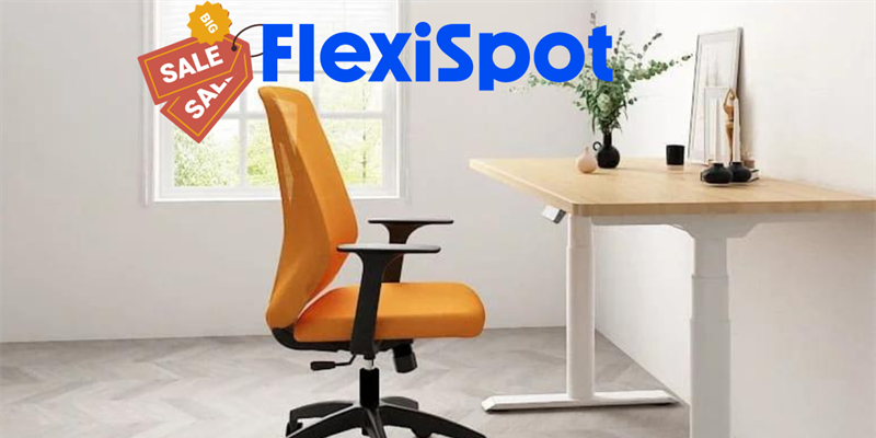 FlexiSpot - Sedie ergonomice da ufficio e non solo