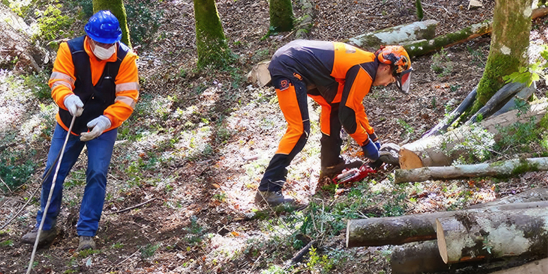 Addetti forestali toscani a scuola al centro forestale di Rincine