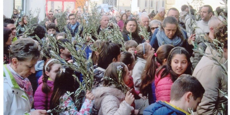 Una festa della Palme; l’ingresso in Pieve con l’Ulivo.