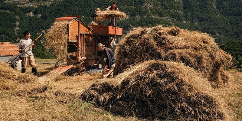 Antica Battitura del Grano a Castagno d’Andrea 