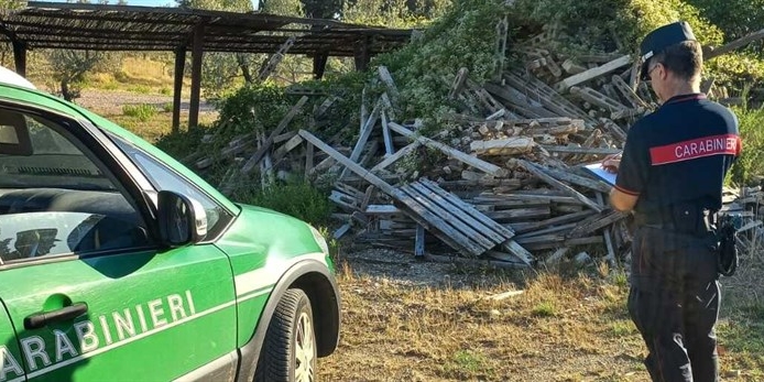 Carabinieri Forestali sul posto
