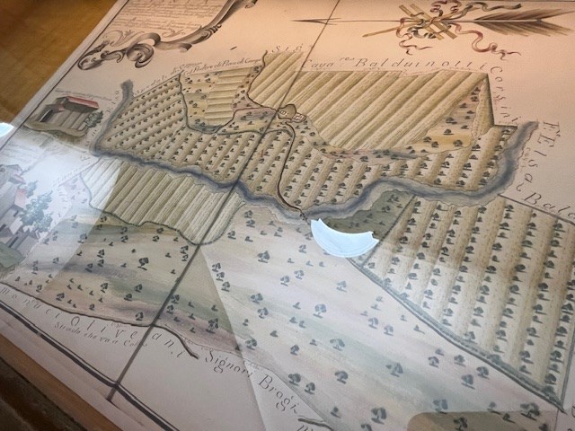 Mostra ai Georgofili