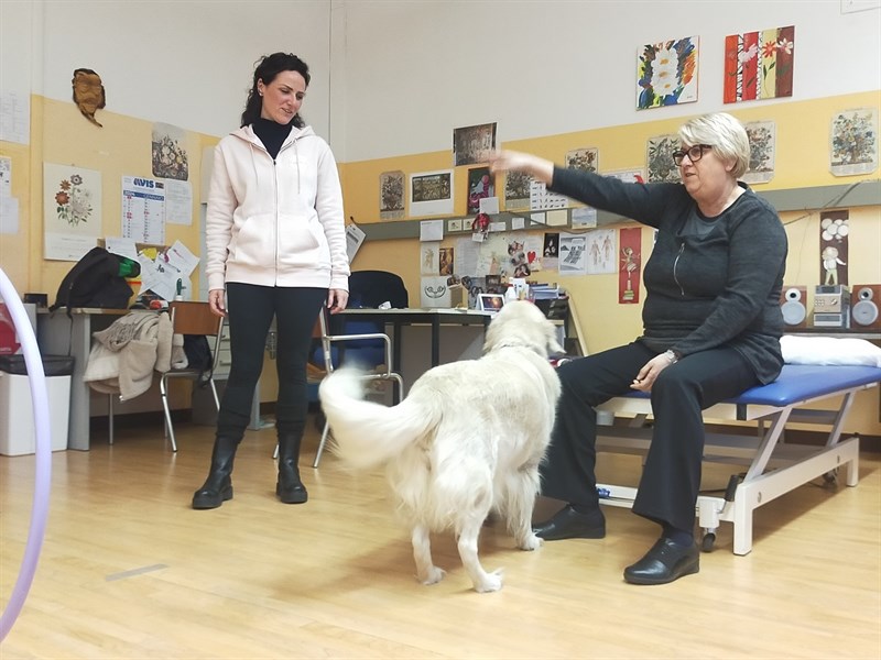 La terapia del dolore