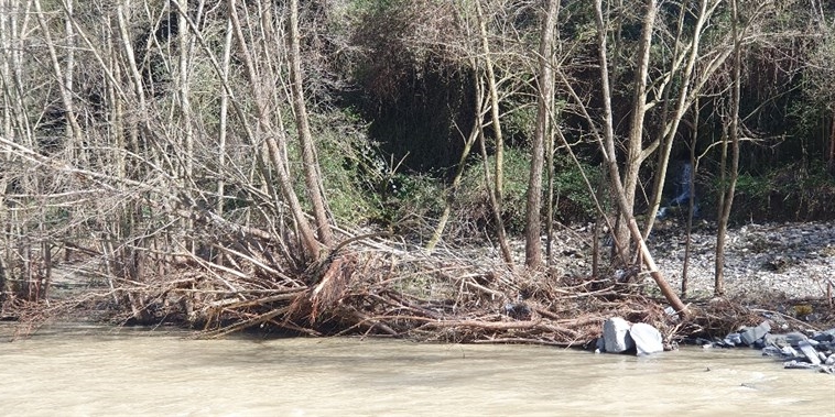 Alcune foto a corredo della lettera - Lamone