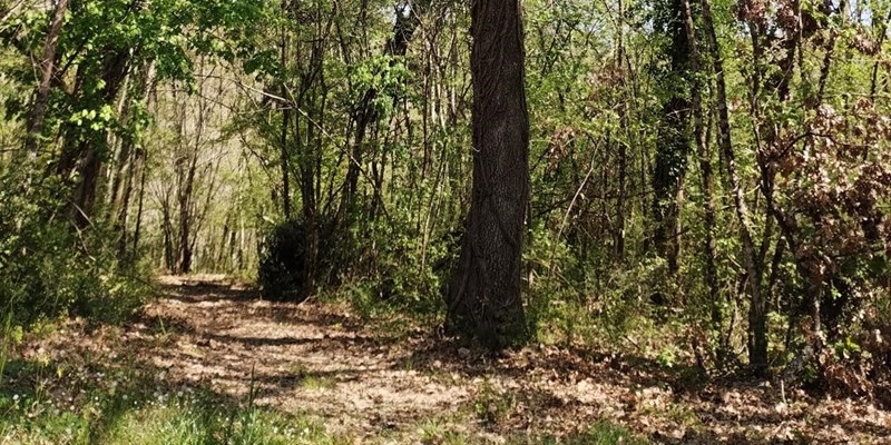 Barberino-Tavarnelle; l'eccidio nazifascista di Pratale ha perso un'altra testimone. Si è spenta all’età di 96 anni Marcella Gori