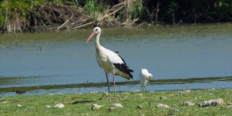 Il parco della piana