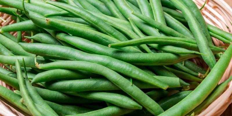 Un elemento importante che viene dai fagiolini - www.okmugello.it
