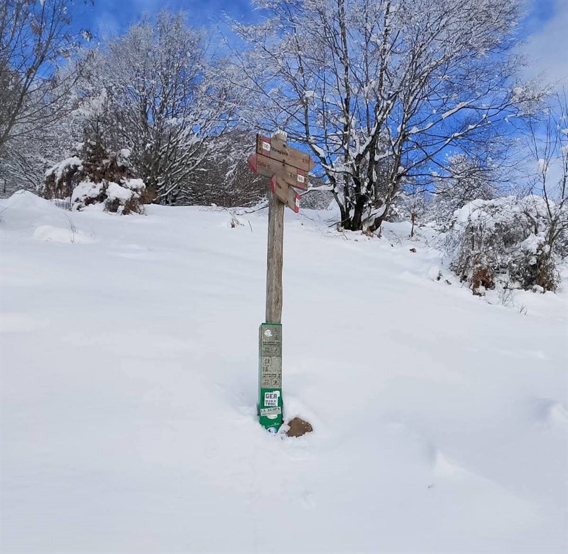 Paesaggio innevato della camminata