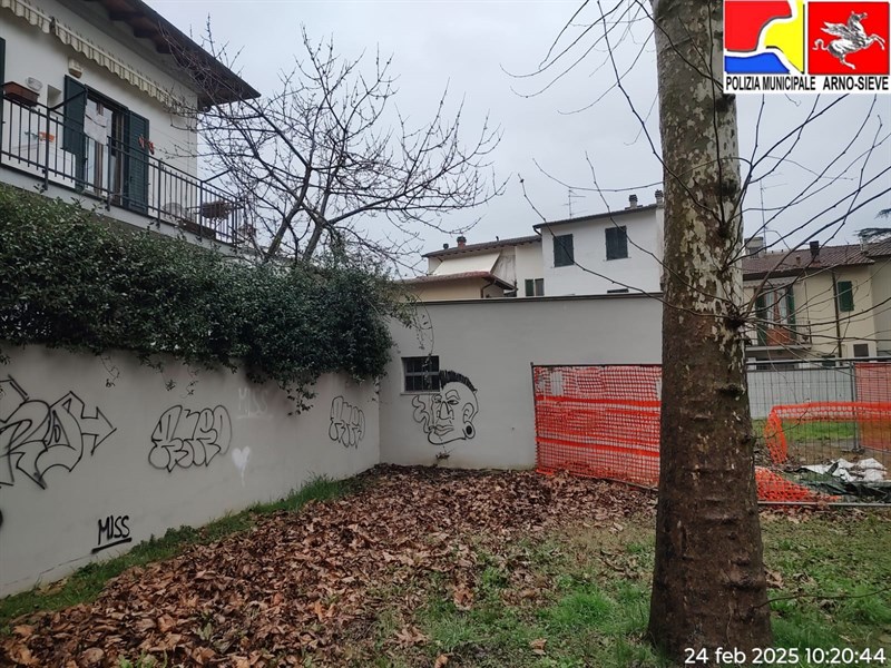 Alcune immagini del parco