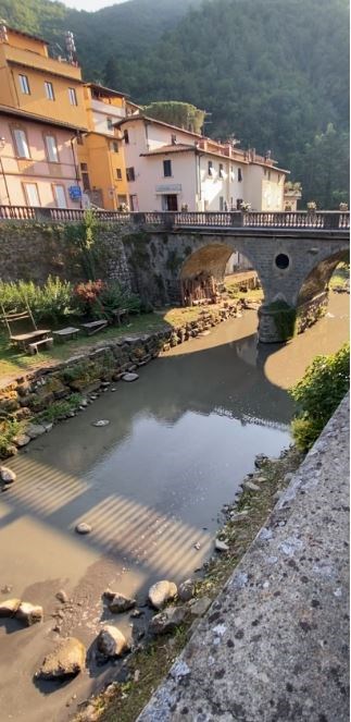 La moria di pesci e l'onda nera nel Rincine