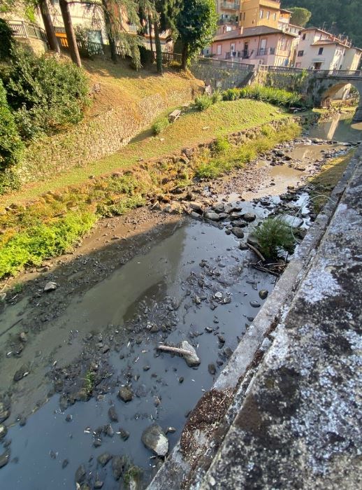 La moria di pesci e l'onda nera nel Rincine