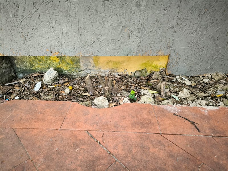 Pericoli e insidi fra mattonelle rotte e siepi mal tagliate